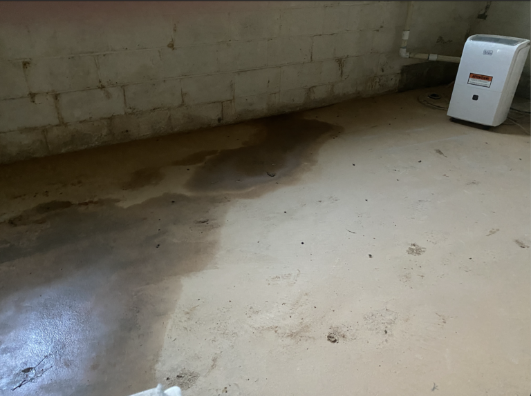 Foundation-Repair-After-Water-Intrusion-in-Your-Basement-or-Crawl-Space